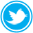 twitter-social-icon